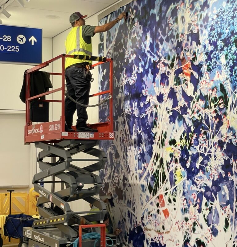 Classic Litho - Laura Hull Flora LAX Mural Install 1