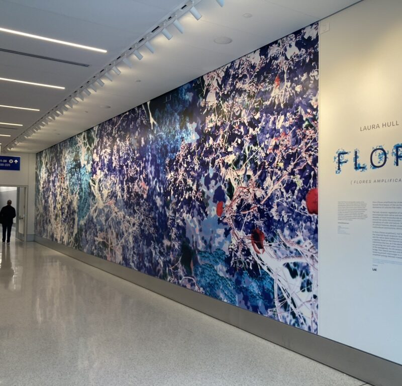 Classic Litho - Laura Hull Flora LAX Mural Install 10