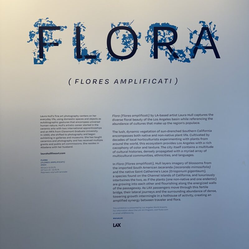 Classic Litho - Laura Hull Flora LAX Mural Install 16