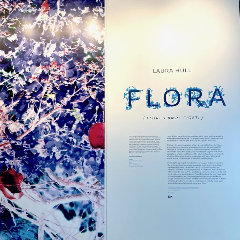 Classic Litho - Laura Hull Flora LAX Mural Install 18